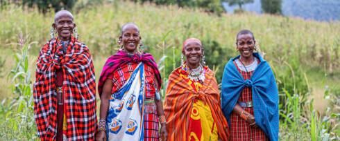 Four smiling Maasai women stand side by side in colorful traditional attire, adorned with beaded jewelry. They are outside, with green fields and distant trees or hills in the background, exuding a sense of community and joy.