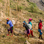 A group of people, including women and men, walk in a line up a dry, rocky hillside carrying bags on their backs. They are dressed in colorful clothing and headscarves. With bamboo stakes in the background, their journey underscores the human face of climate justice.